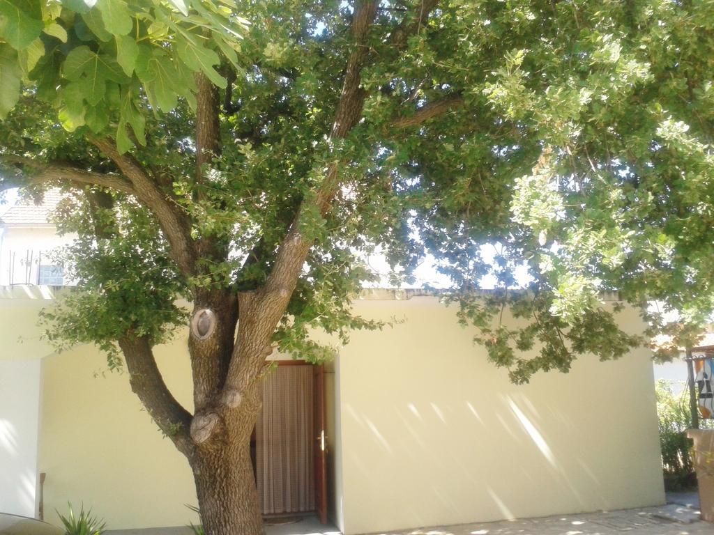 Apartments Angela Biograd Na Moru Exterior photo